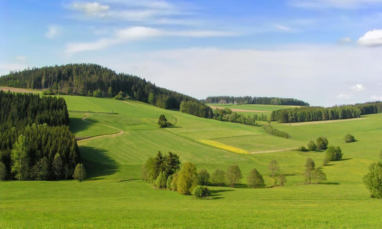 Hotel Brunnwald Bad Leonfelden Zewnętrze zdjęcie