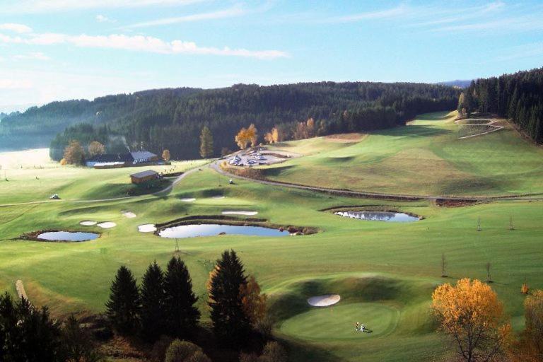 Hotel Brunnwald Bad Leonfelden Zewnętrze zdjęcie